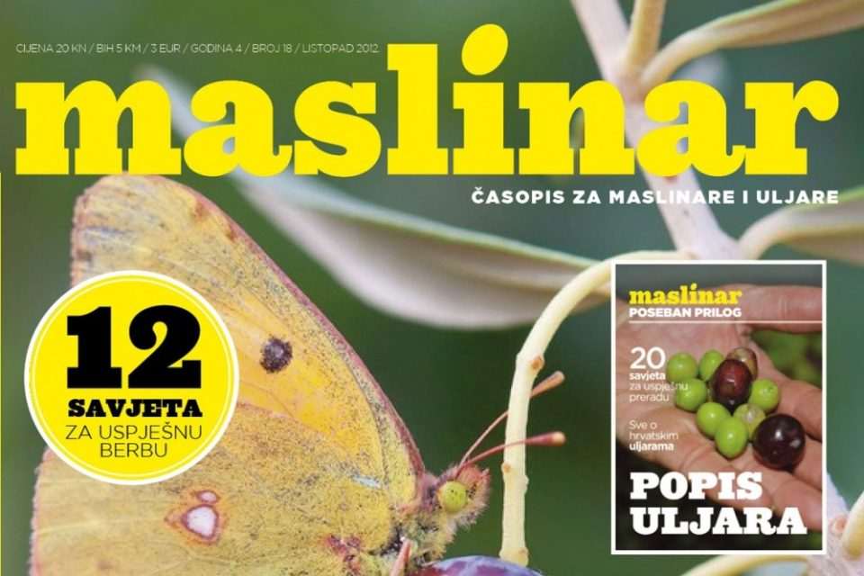 maslinar naslovnica 02