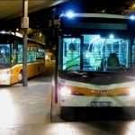 novi bus1