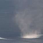 pijavica storm chasers 4