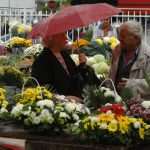 placa cvijece033