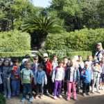 skatulica lokrum 07
