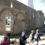 skatulica lokrum 24