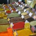 slow food zacini