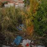 smece gradac080