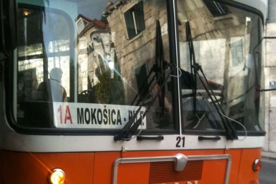 bus starim