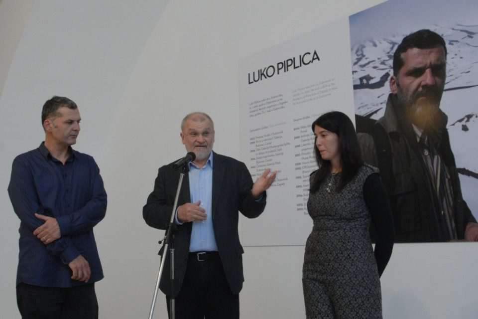 piplica ugd011
