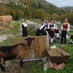 popret osojnik023