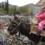 popret osojnik288