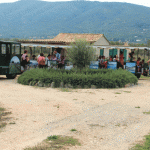 turisticki vlakic (3)