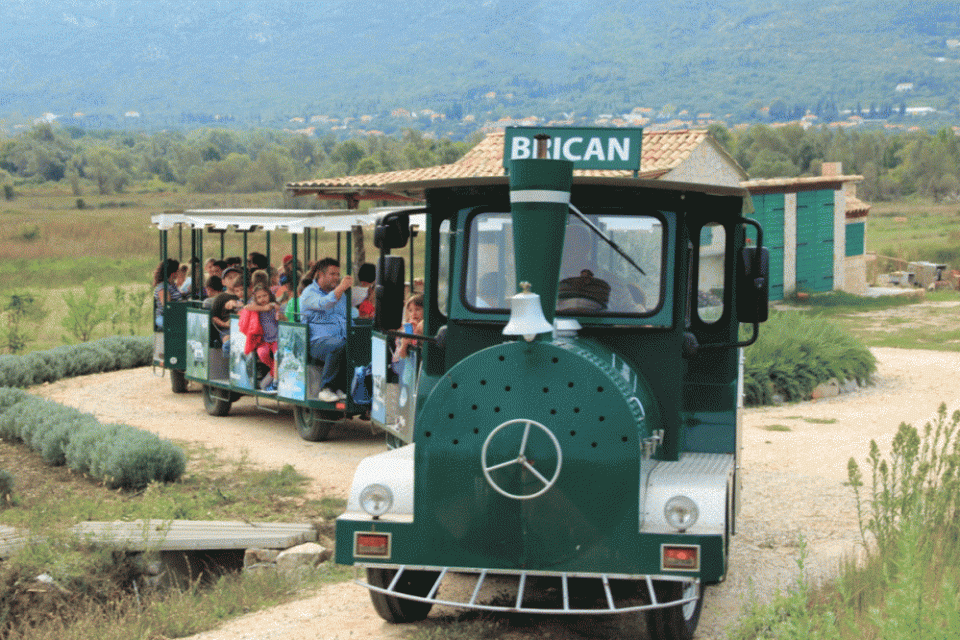 turisticki vlakic (4)