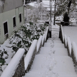 bijeli peljesac 9