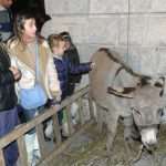 jaslice076