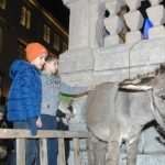 jaslice078