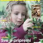 maslinar novi