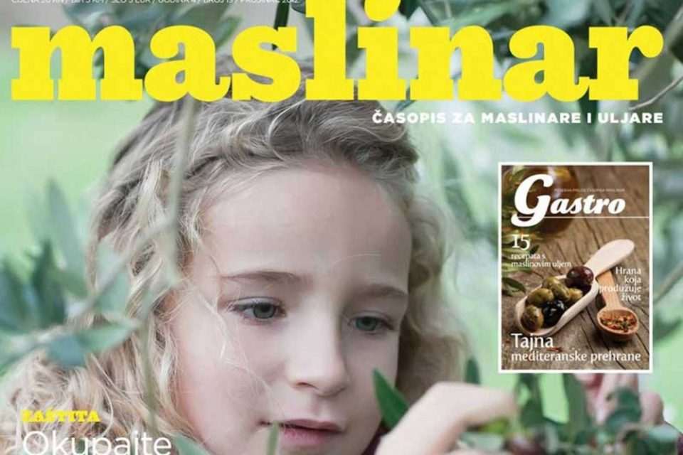 maslinar novim
