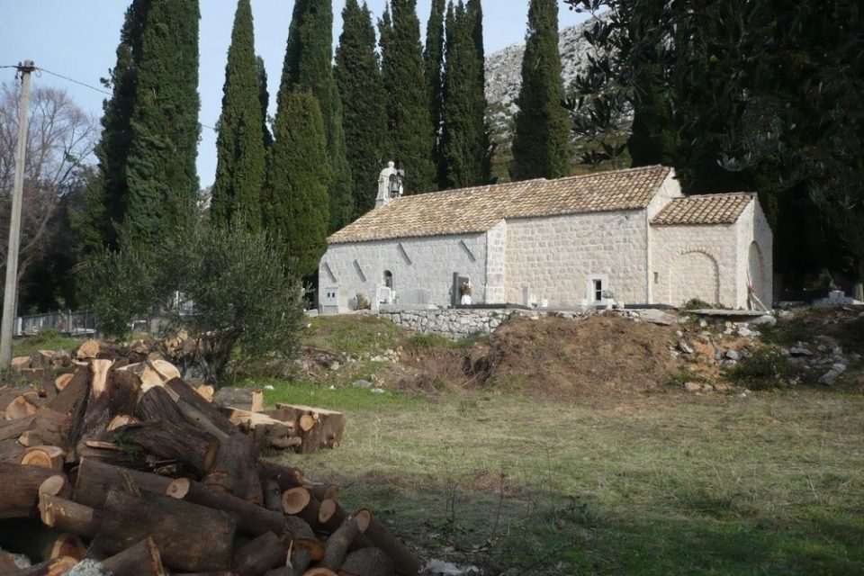 pokoseni cempresi 3