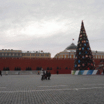 vinari maslinari moskva (9)