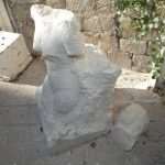 biocina056