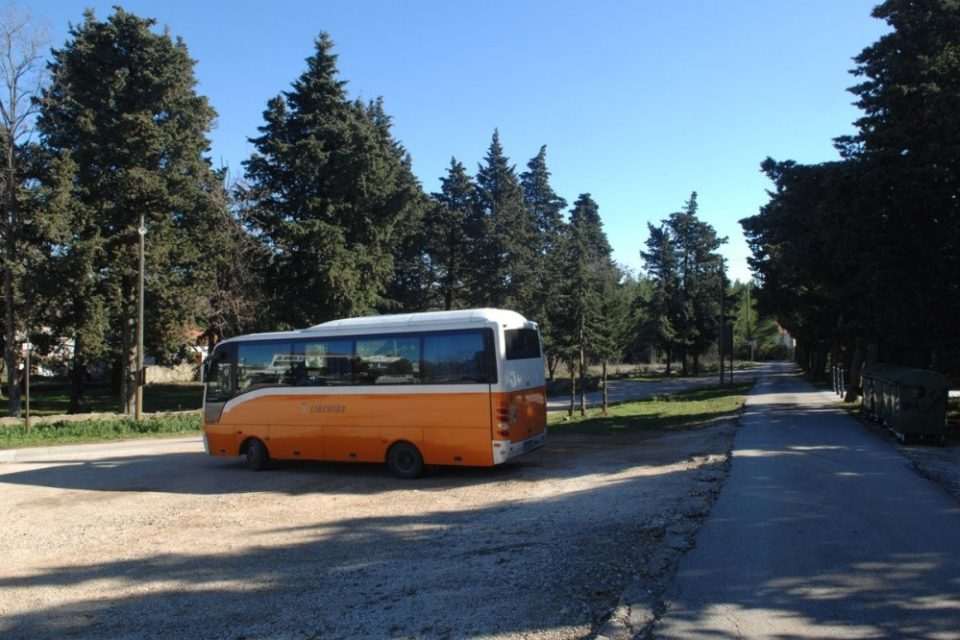 bosanka libertas601