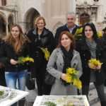 mimoza037