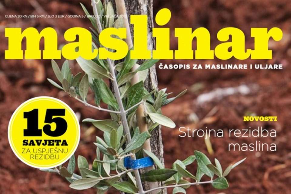 mala maslinar