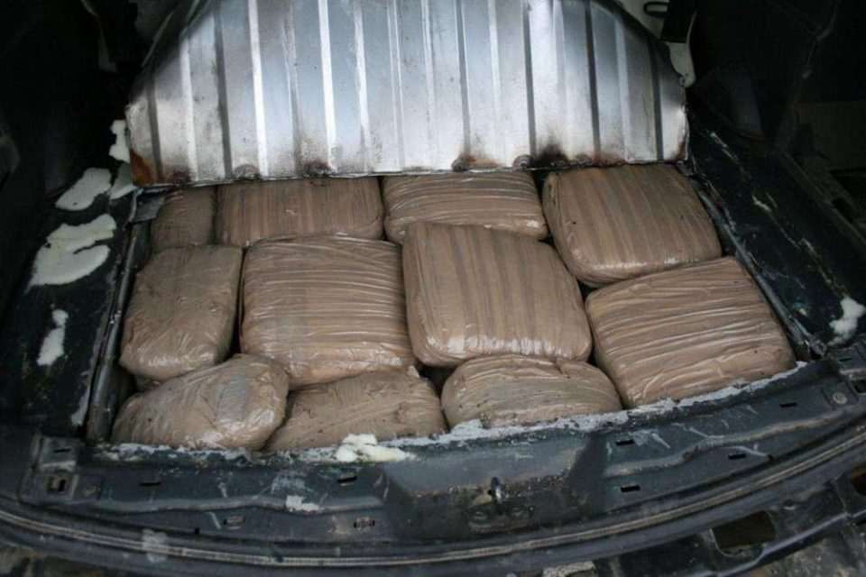 marihuana gabela polje 02