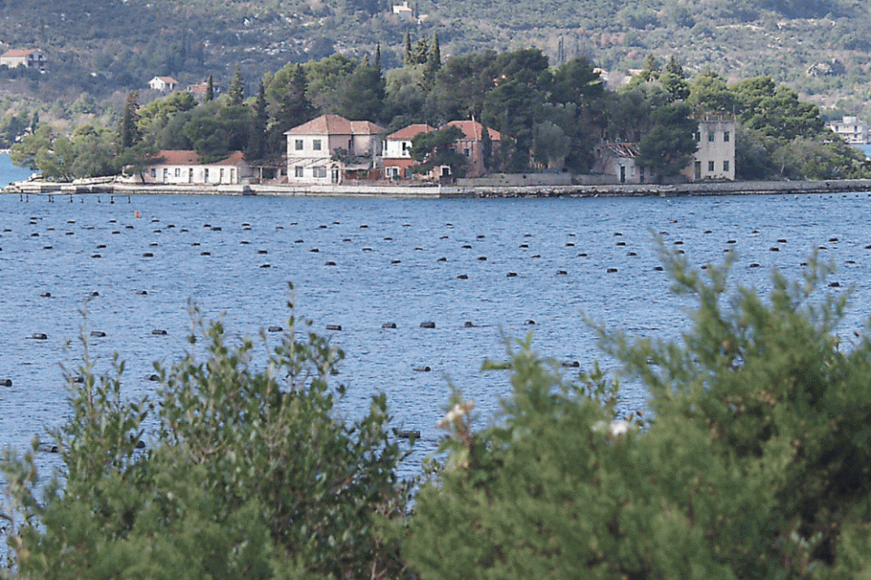 otok zivota1