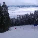 ski3