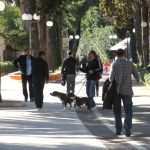 uvala sunce274