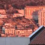 zalaz273