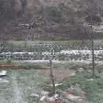 zupa snijeg 2013 (1)