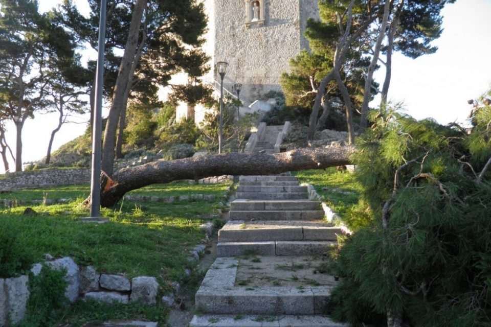 borovi lovrijenac 09