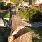 borovi lovrijenac 13