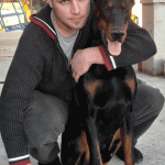 Doberman