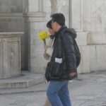 narcisi djir 03