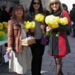 narcisi djir 07