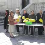 narcisi djir 14