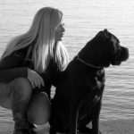 Cane Corso