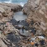 earthrun mljet 04