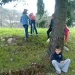 omblici 02