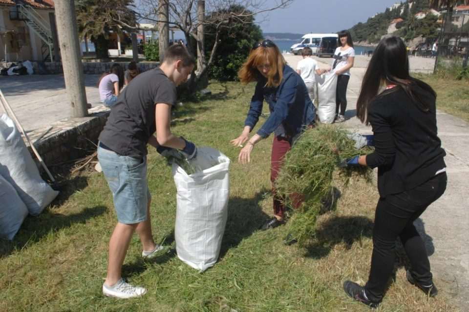 uvala ciscenje381
