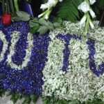 banovic218