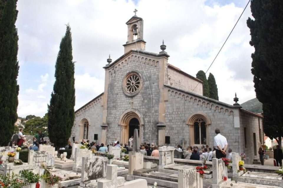 boninovo019