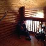 boskovic spot 09