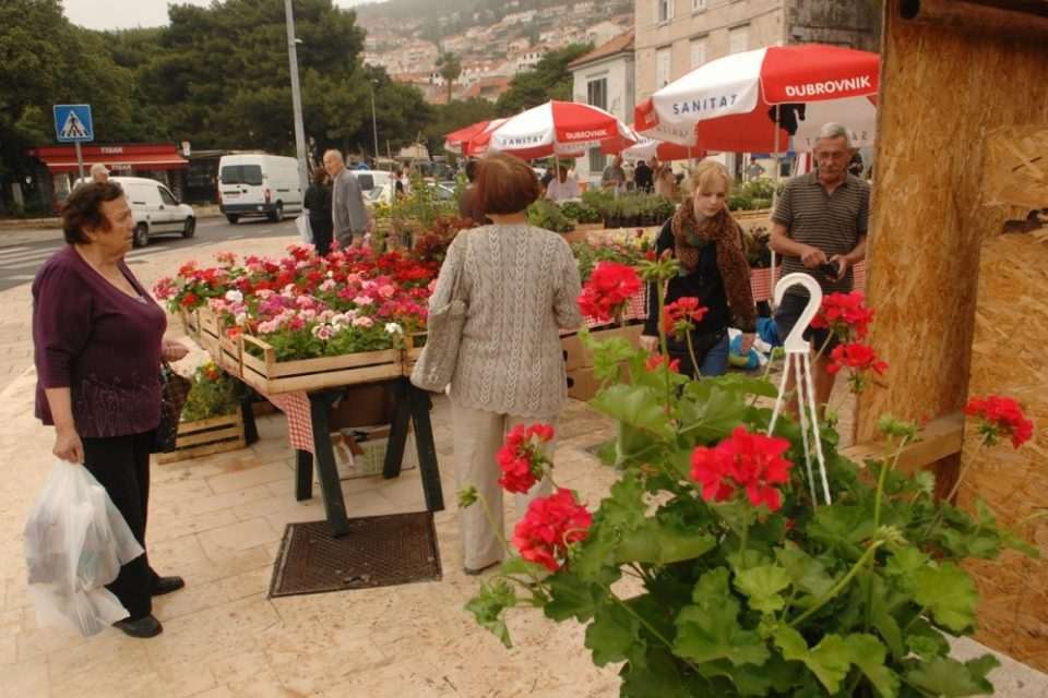 cvijece sajam003