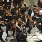 dso knezev258