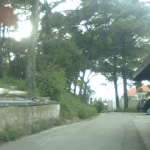 eko sjeca lapad 07