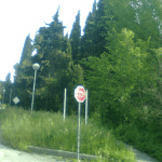 eko sjeca lapad 13