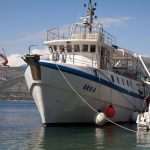 gulliver ribanje orka 02
