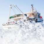 gulliver ribanje orka 32